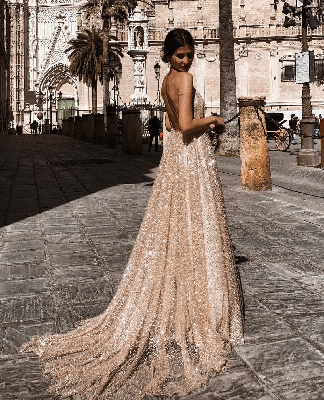 Elegant Evening Gown, with train