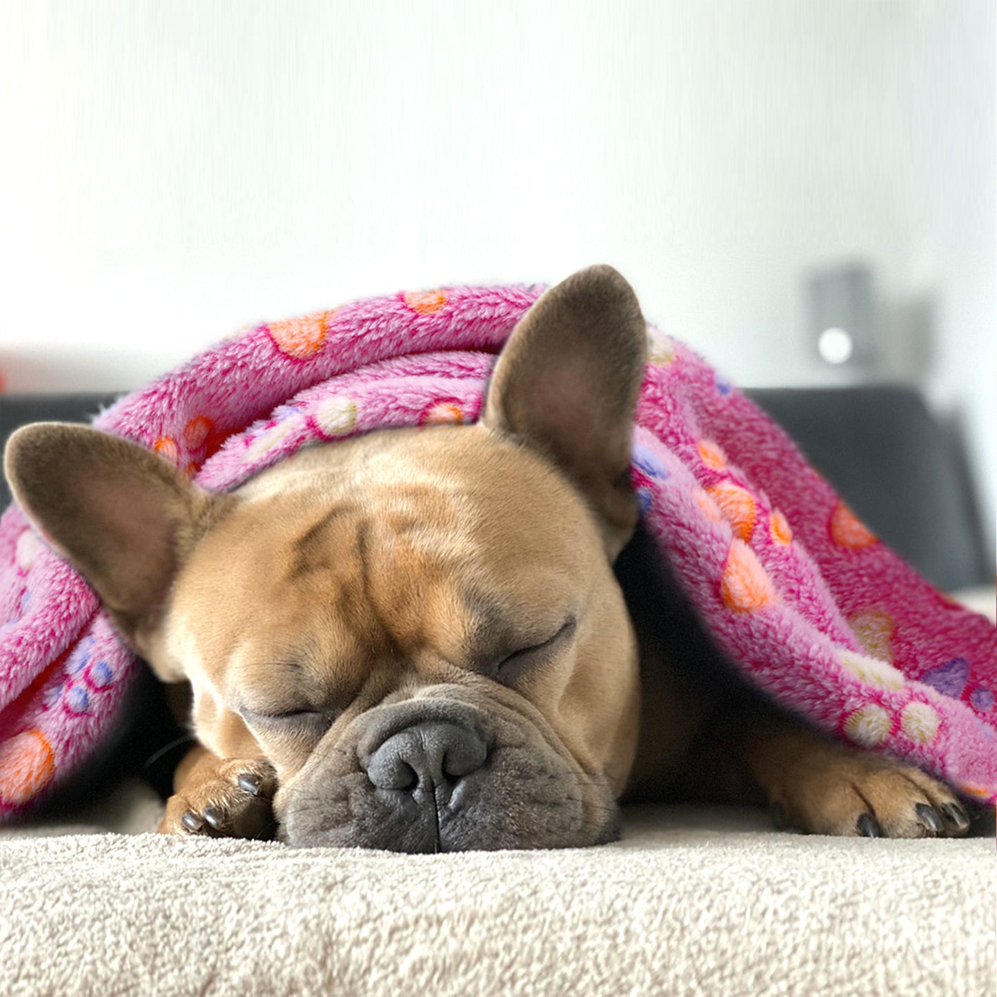 Cute Paw Pattern Blankets For Pets, 3 Pack