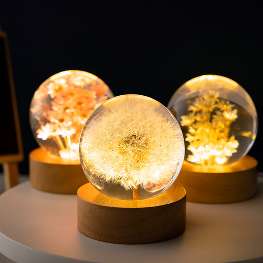 Luminous 3D , Preserved Flower Crystal Ball, with Beech Wood Stand Base