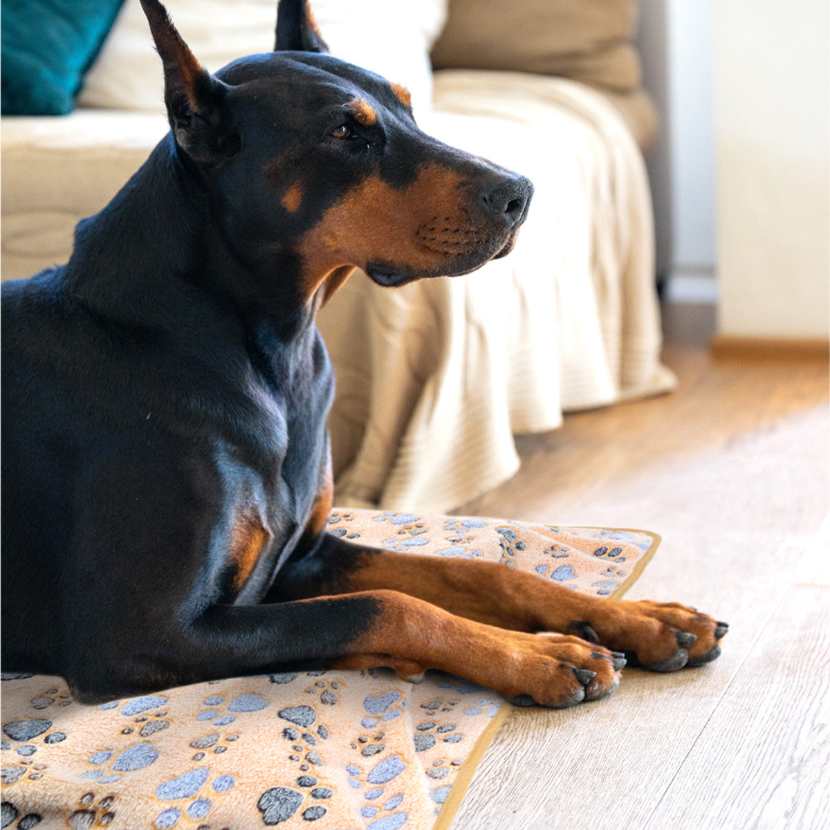 Cute Paw Pattern Blankets For Pets, 3 Pack