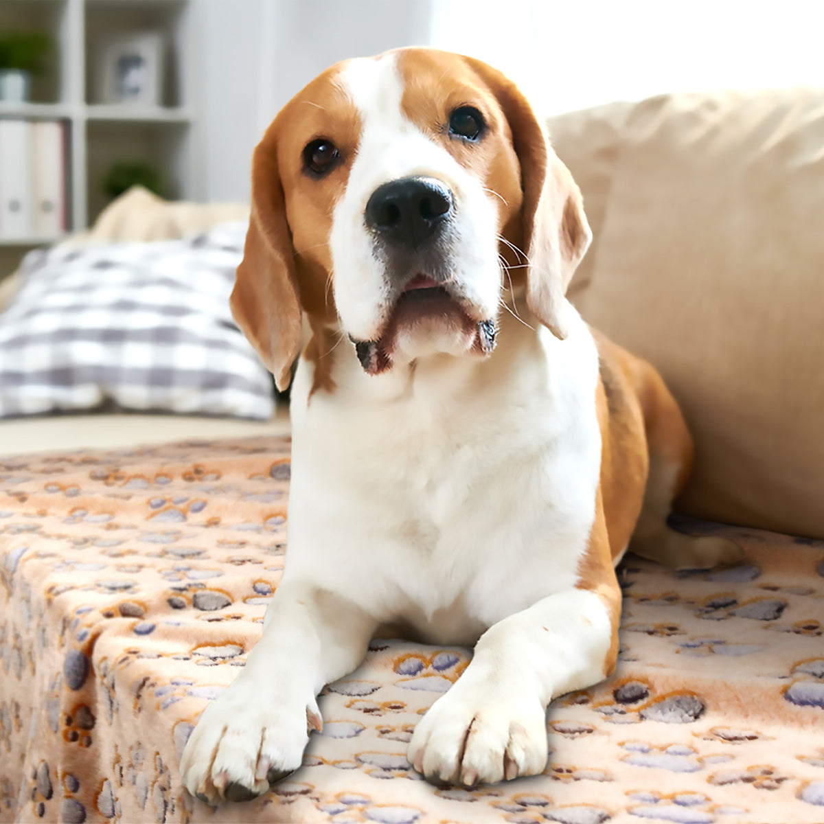 Cute Paw Pattern Blankets For Pets, 3 Pack